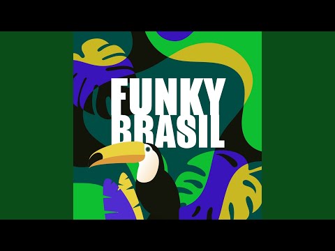 Funk do Silvio Santos (Funk do aviãozinho)