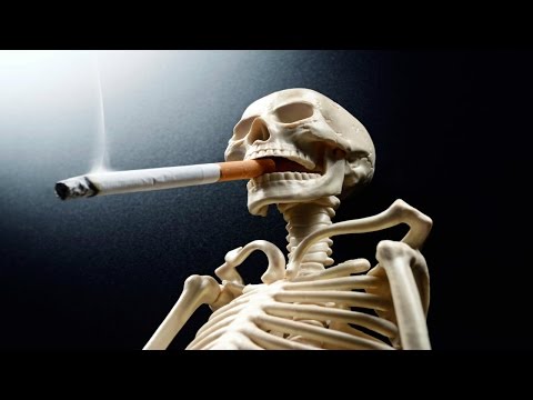 Eighth Torah Portion Shmini 2016 2017 Thewaybiblicalfellowship