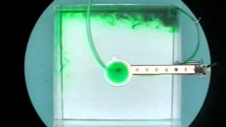 Experiment XIV: Thermohaline Circulation