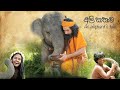 Ali Kathawa Sinhala Full Movie