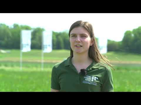 Gezielte Ampferbekämpfung im Grünland - RUMBOJET