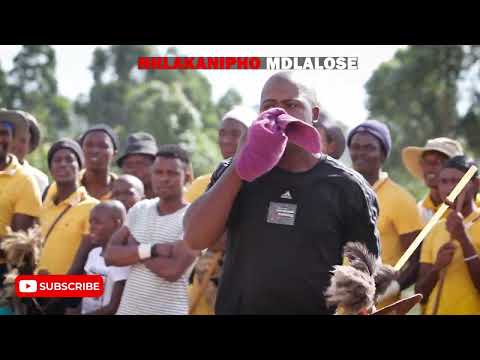 Gulukudu vs Zond'umlenze