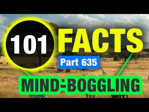 101 One of a Kind Facts