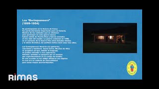 BAD BUNNY - PIToRRO DE COCO (Visualizer) | DeBÍ TiRAR MáS FOToS