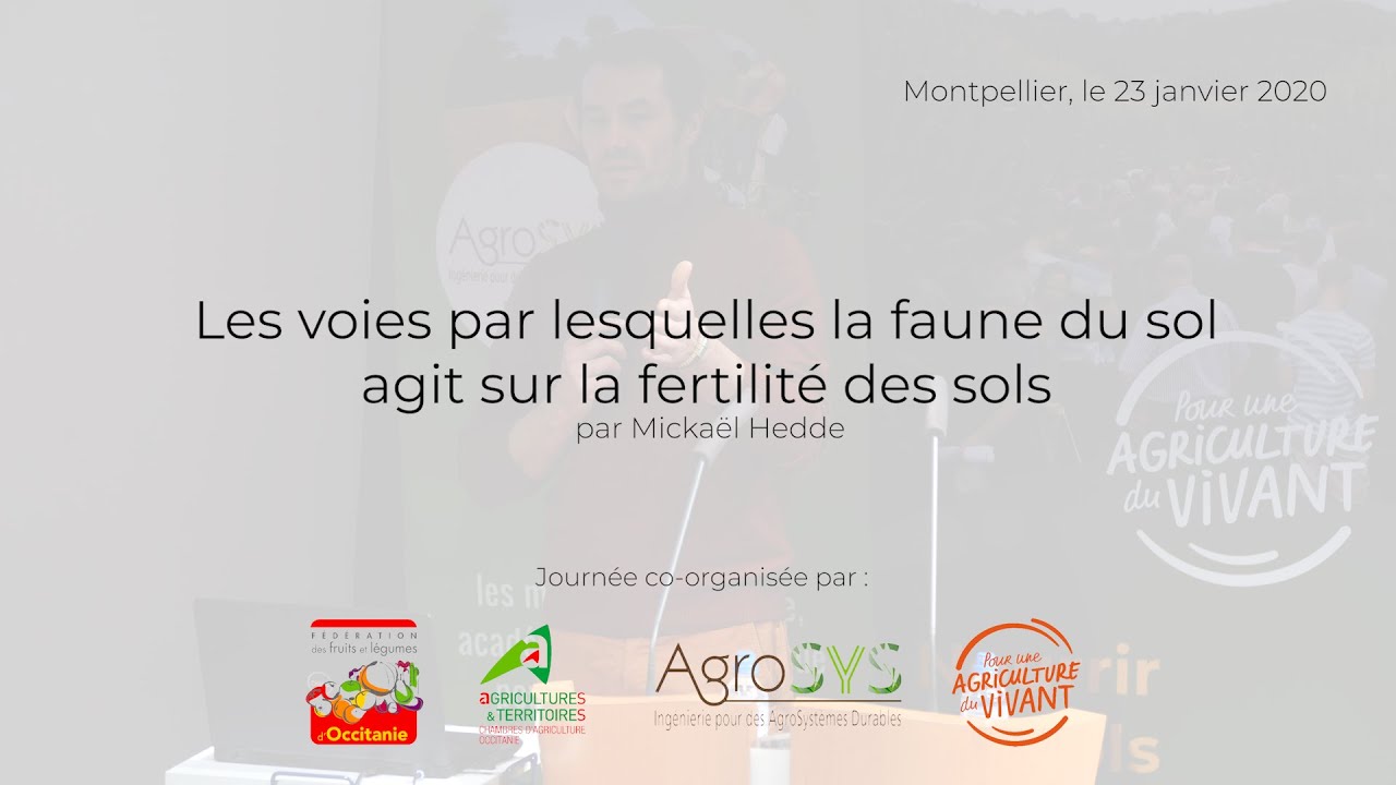 Fertilité des sols, par Mickaël Hedde