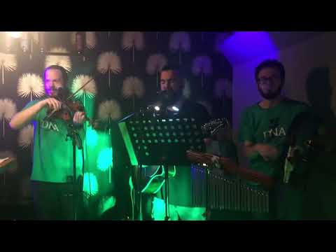 DNA IRISH TRIO - I'll tell me ma @Pub da Golin 2022 03 17 St.Patrick's Day