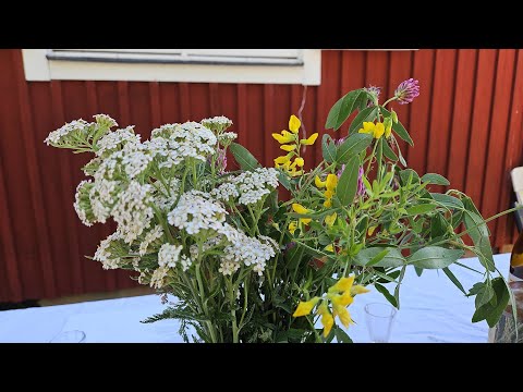 Midsommar i Wira bruk 2024 🌸🌼🪻🌻🌹🇸🇪🍓☀️