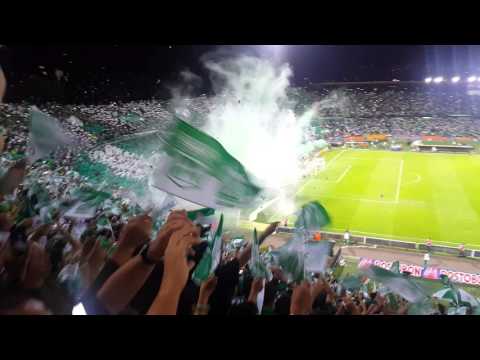 "Recibimiento de Atletico Nacional Vs Jaguares" Barra: Los del Sur • Club: Atlético Nacional • País: Colombia