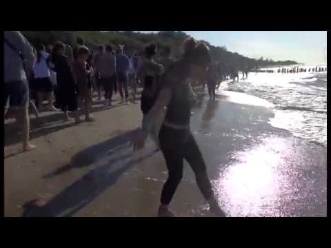 Plötzlich am Meer Festival 2017