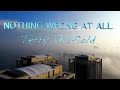 NOTHING WRONG AT ALL ... Terry Oldfield