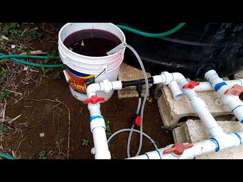 Fertilizing our Scotch  Bonnet Peppers Through our Irrigation System - Venturi System