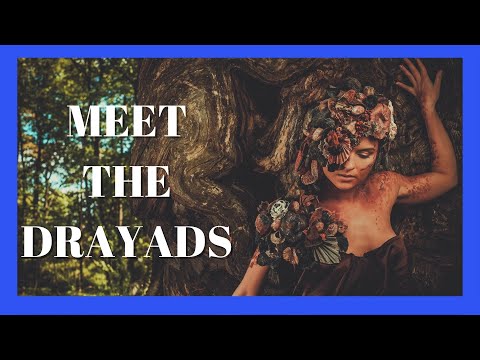 🧘TREE NYMPHS🧘 meditation - Meet the DRAYADS spiritual connection with the Tree Nymphs