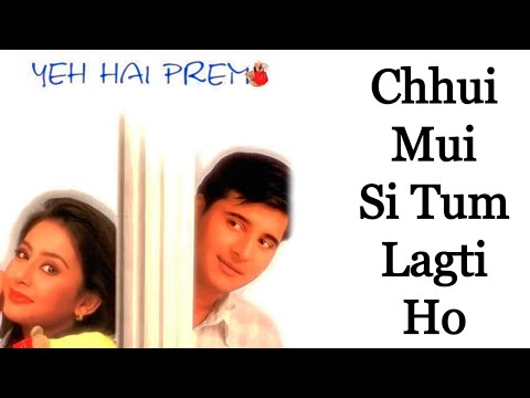 Chui Mui Si Tum Lagti Ho - Milind Ingle - Yeh Hai Prem [Remastered]
