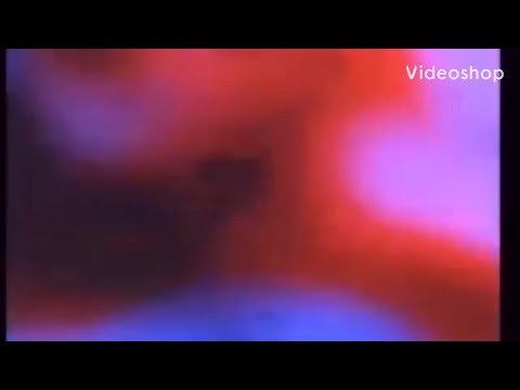 NBB OSAMA X RACKS  🤯