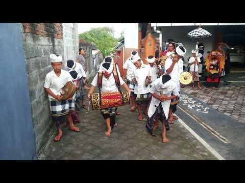 Ngelawang Barong bangkung SD Negeri 12 Padangsambian