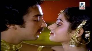 Neela Vaanam Odaiyil   Vazhve Maayam   S P Balasubramaniam  நீலவான ஓடையில்