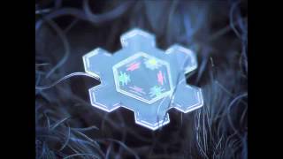 Do You Hear What I Hear