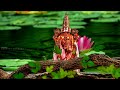 Srinivasaya Mangalam Om Namo Narayanaya WhatsApp Status Mahakal Vasudev