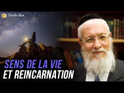 COURS DU LUNDI : "SENS DE LA VIE & REINCARNATION" (GRAND-RABBIN JOSEPH-'HAÏM SITRUK)