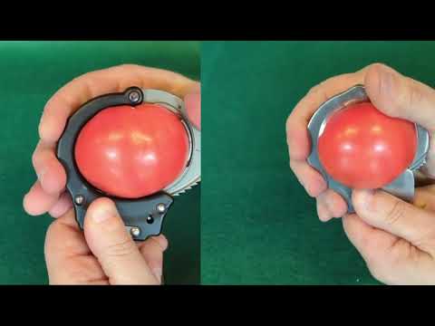 Model 40 Tomato Demo