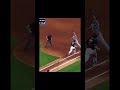 Fries And Chicken With A Side Of Biscuit Mlb Viralvideo