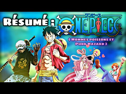 Résumé : ONE PIECE ( Hommes poissons et Punk Hazard )