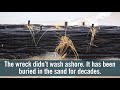 Remains Of 140 Year Old Shipwreck Appears On Lake Michigan Beach