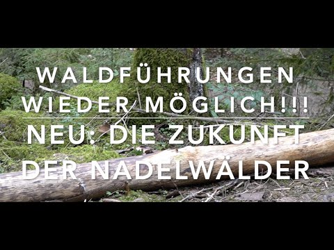 Hooray! Finally, public OneManintheWoods forest tours are back!