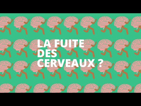 La fuite des cerveaux by DJOUK