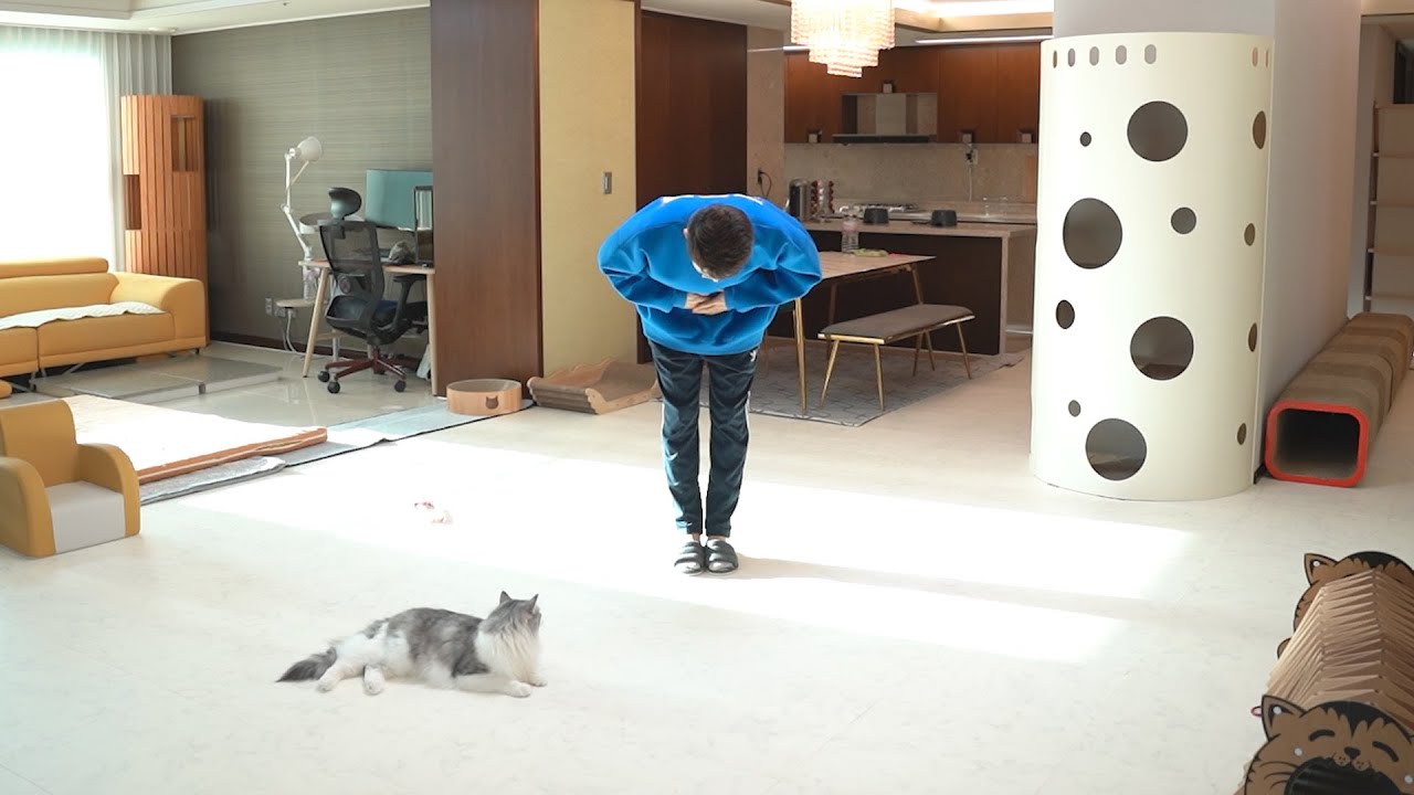 밀키복이탄이가 떠납니다...