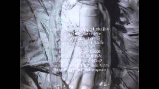 Pungent Stench- The Amp Hymn and Got Milf?