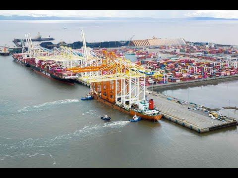 GCT Deltaport STS Crane Replacement Project