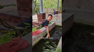 Download lagu Biawak besar mau di sate lari jalan di tempat #shorts #biawak #lucu #viral #komedi #bocah #hewan mp3