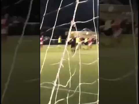 Mifano JO19-1 - MULO JO19-1 (09-05-2017)