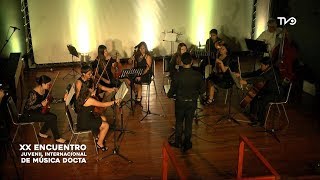 Orquesta de Cámara de Coronel