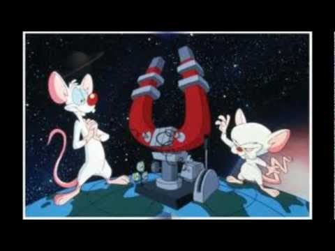 Pinky And The Brain - DJ Dee Square