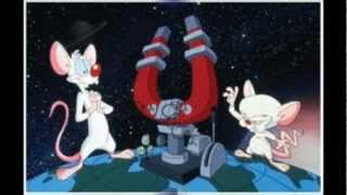 Pinky And The Brain - DJ Dee Square