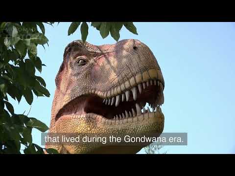 Gondwana was a massive