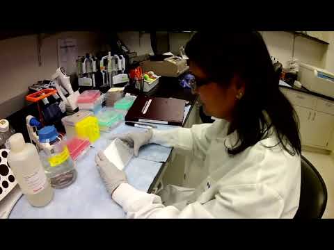 Tri-State COVID Latest