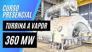 CURSO PRESENCIAL + DIGITAL: ENEVA - Maranhão