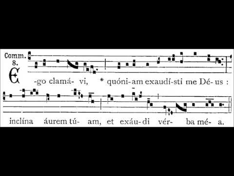 Dominica XXII. post Pentecosten - COMMUNIO - Ego Clamavi