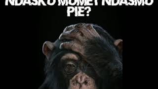 Download lagu Story wa pusing(banyak pikiran) mp3