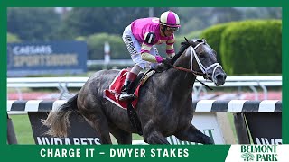 Charge It - 2022 - The Dwyer