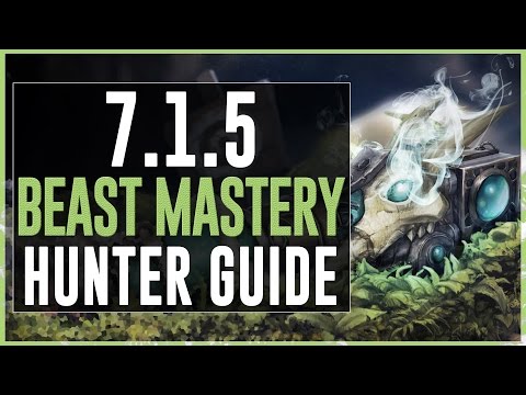 Beast Mastery Hunter PvE Guide :: Legion Patch 7.1.5
