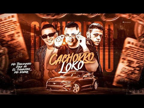 MC BOLA CH E EL GONGSTER E MC NOARA E MC THEUZYNHO - CACHORRO LOKO