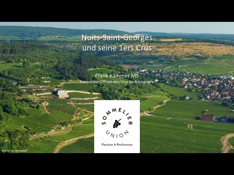 Burgund - Nuits-Saint-Georges und seine 1ers Crus