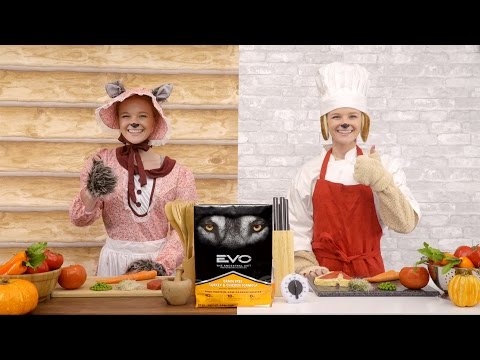 download lagu mp3 mp4 Evo Dog Food Ingredients, download lagu Evo Dog Food Ingredients gratis, unduh video klip Evo Dog Food Ingredients