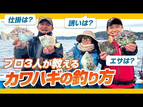 【カワハギ釣り】初心者が知りたい数を伸ばす必須のノウハウ