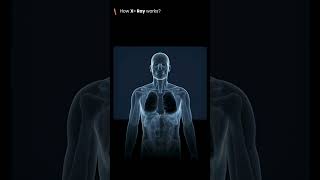 How X -Ray works? || #telugu #shorts