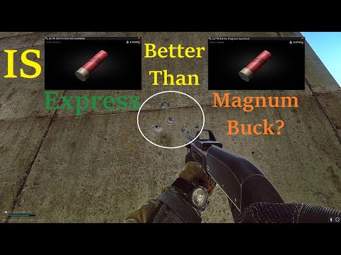 Is Express Better than Magnum Buck?